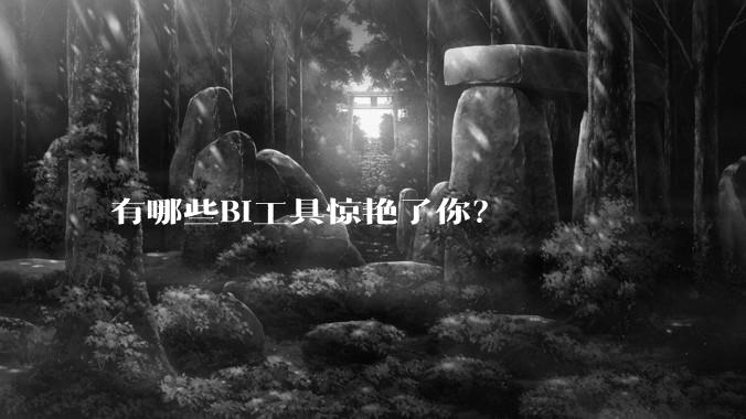 有哪些BI工具惊艳了你？