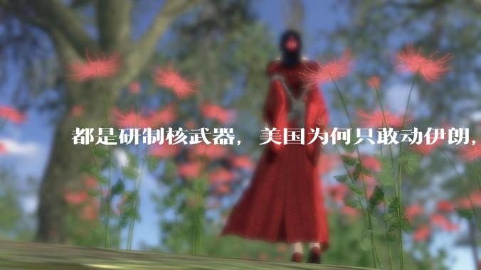 都是研制核武器，美国为何只敢动伊朗，对朝鲜却畏首畏尾？