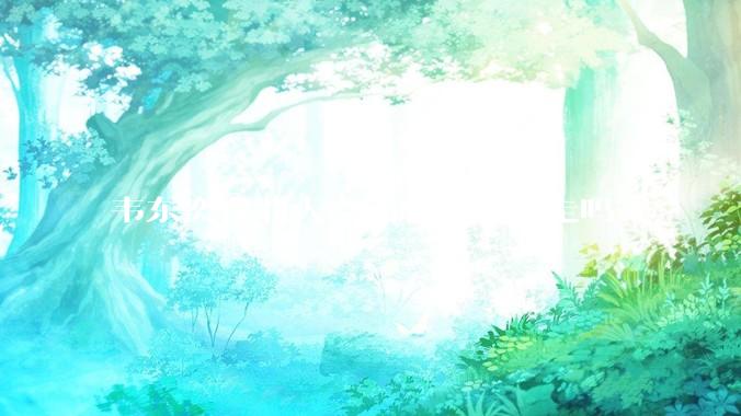 韦东奕在北大会面临非升即走吗？
